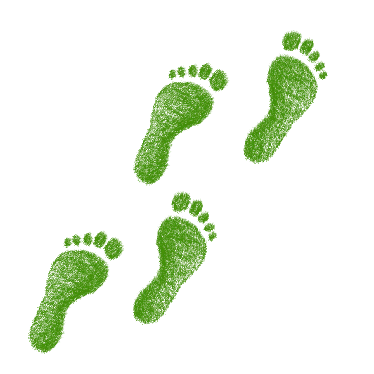 découvrez ce qu'est l'empreinte écologique, son impact sur notre planète et comment réduire votre influence environnementale au quotidien.