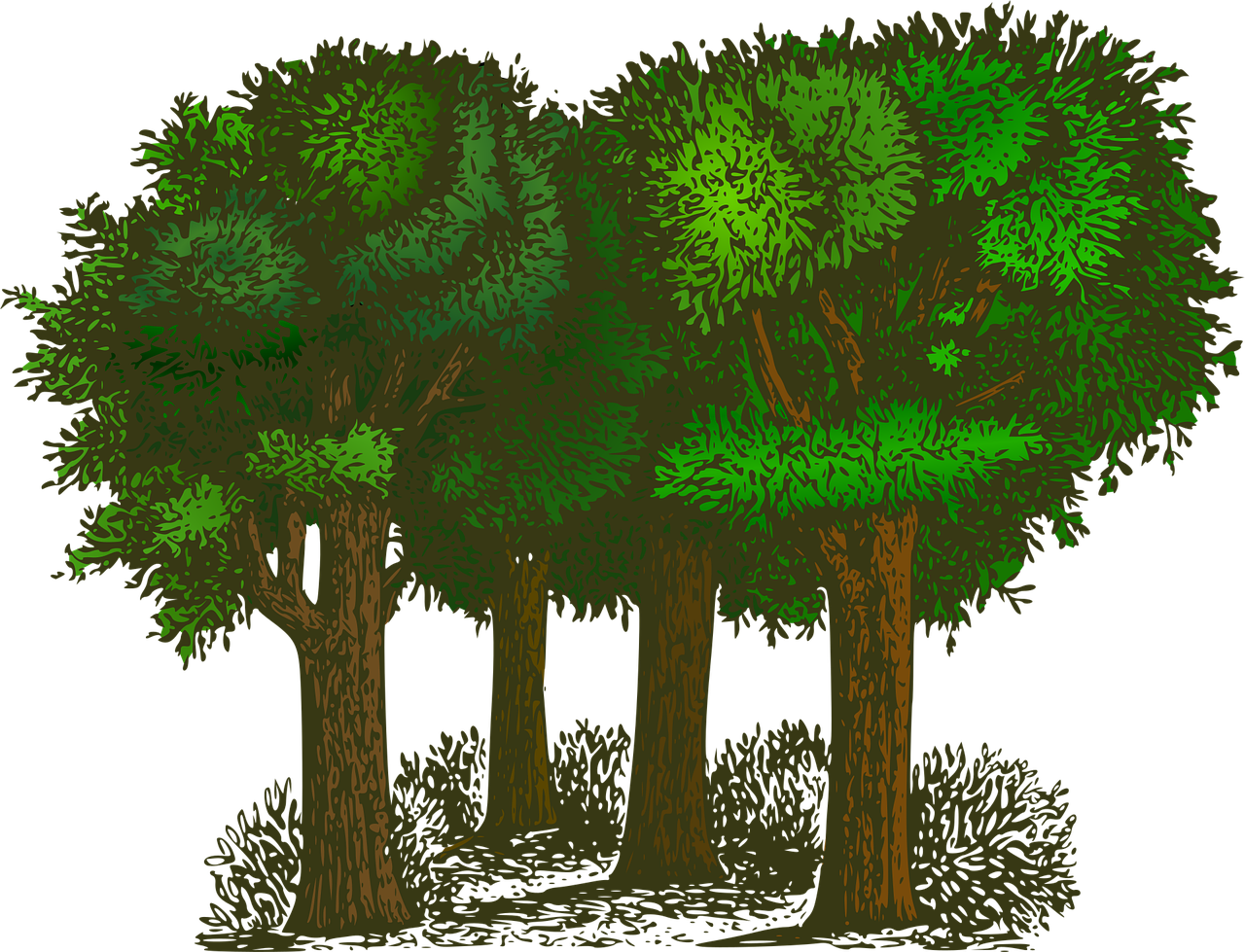 découvrez des informations essentielles sur l'environnement, ses enjeux actuels, la protection de la nature et des conseils pour un mode de vie plus écologique et durable.