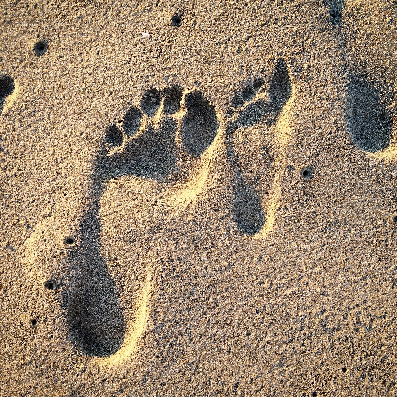 découvrez ce qu'est l'empreinte carbone, son impact sur l'environnement et comment la réduire au quotidien pour un avenir durable.