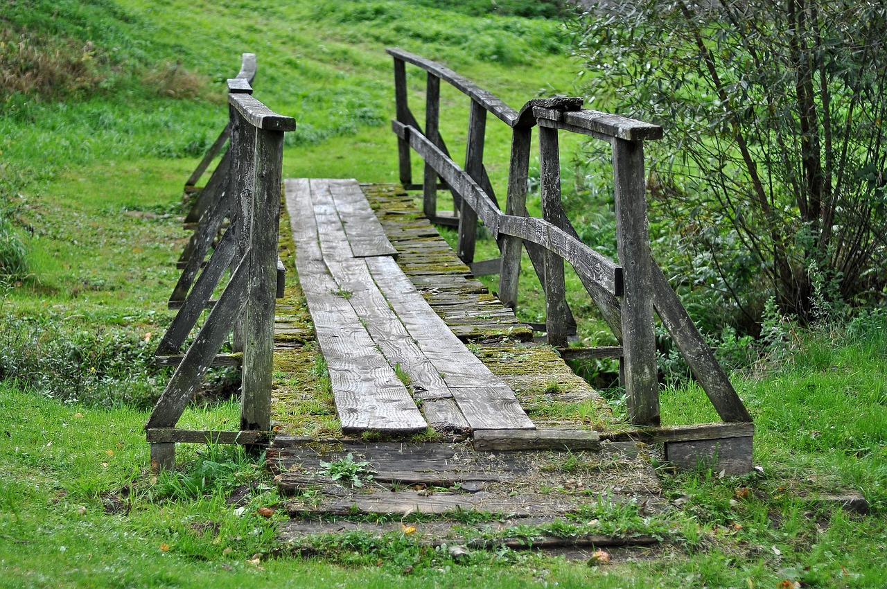 découvrez comment la transition écologique transforme notre société en adoptant des pratiques durables et respectueuses de l'environnement. explorez les enjeux, les solutions innovantes et les actions concrètes pour un avenir plus vert.