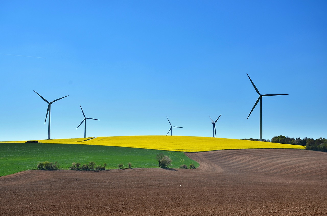 découvrez comment construire un avenir durable grâce à des pratiques écoresponsables, des technologies innovantes et des initiatives communautaires. rejoignez le mouvement pour un monde meilleur.