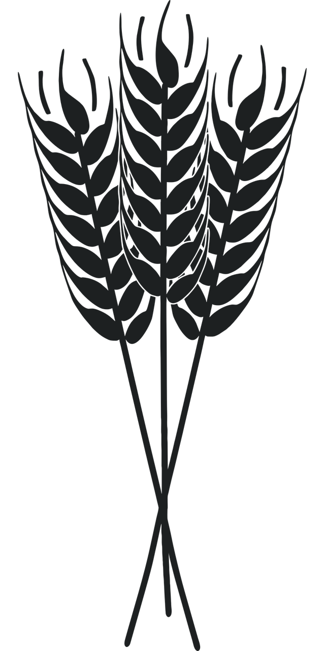 découvrez les pratiques de l'agriculture durable qui préservent l'environnement tout en assurant des rendements agricoles optimaux. explorez des techniques innovantes, l'utilisation responsable des ressources et les bénéfices pour la biodiversité.
