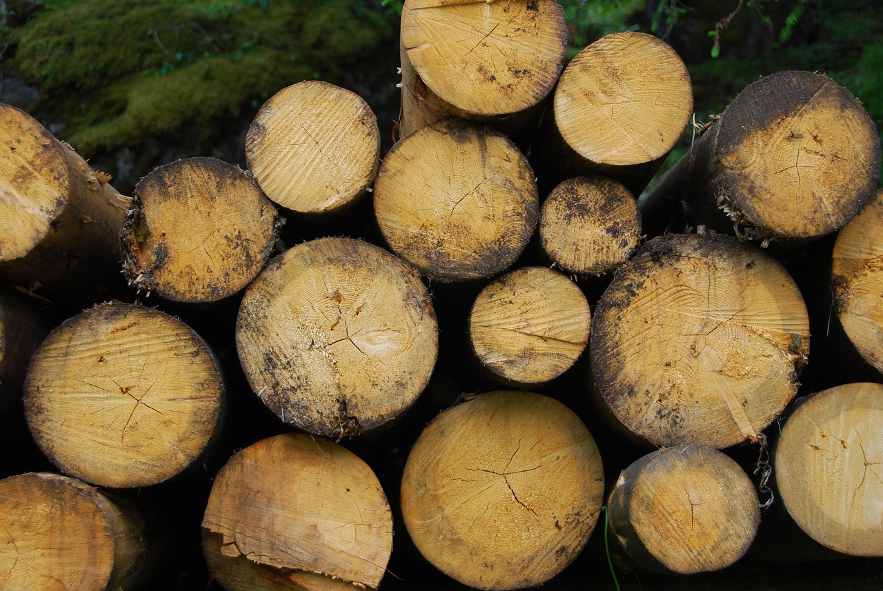 découvrez tout sur la biomasse : son fonctionnement, ses avantages pour produire de l'énergie renouvelable, ses applications et son impact sur l'environnement.