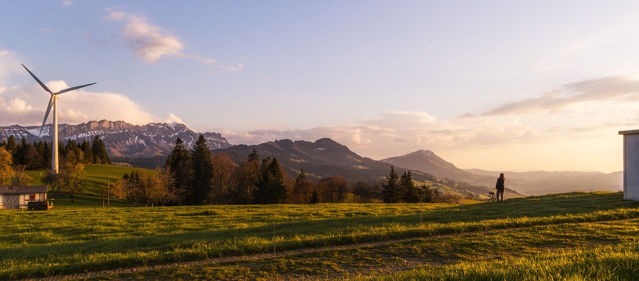 découvrez l'importance de la responsabilité environnementale et comment chaque individu et entreprise peut contribuer à un avenir durable. explorez des pratiques éco-responsables, des initiatives vertes et des solutions innovantes pour protéger notre planète.