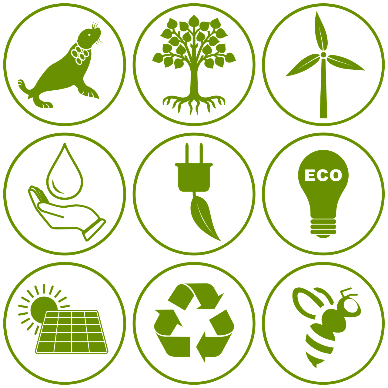 découvrez les pratiques et stratégies pour promouvoir la durabilité environnementale et préserver les ressources naturelles pour les générations futures.