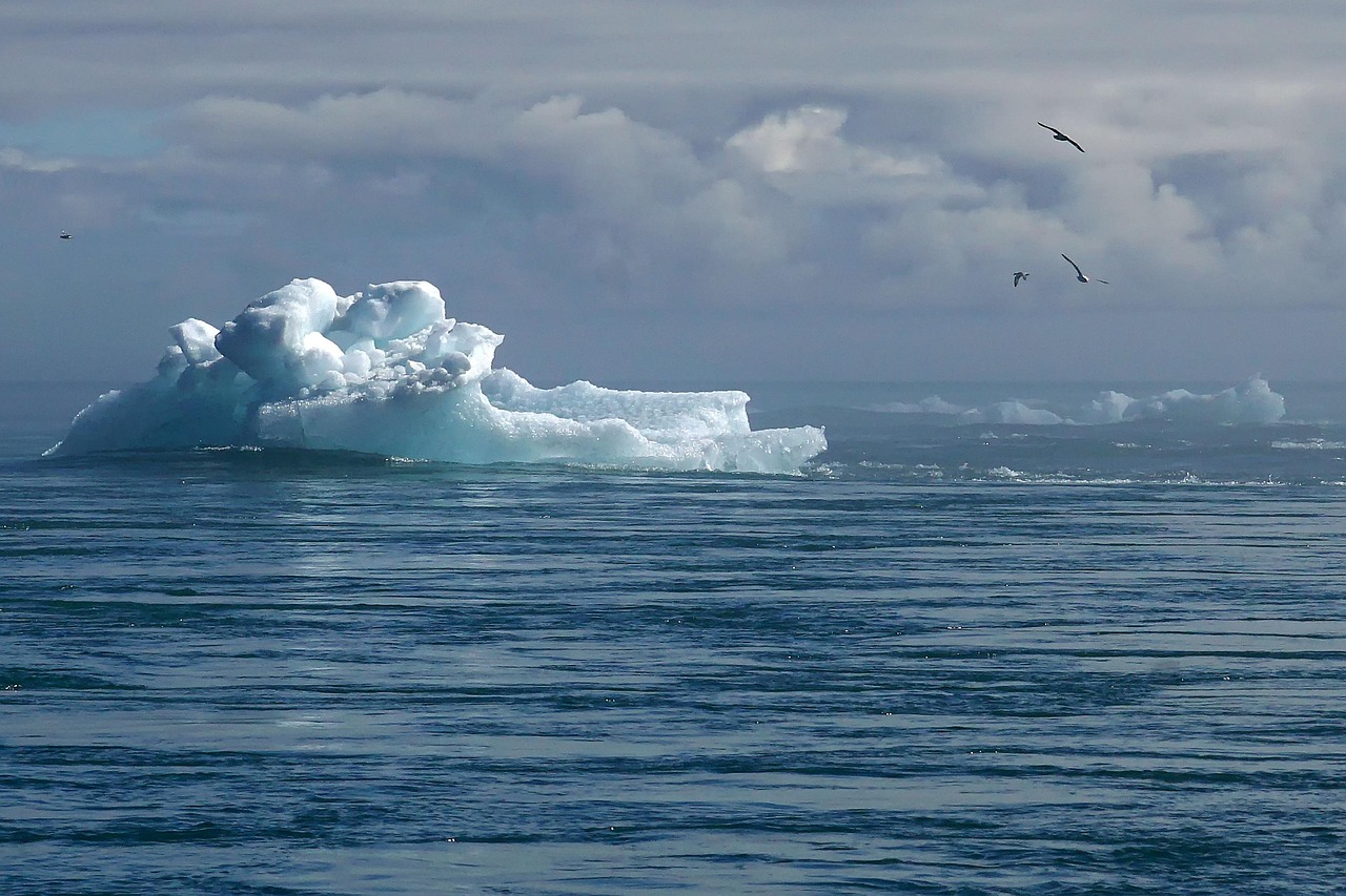 découvrez les causes, impacts et solutions au changement climatique. informez-vous sur les effets du réchauffement de la planète et l'importance d'agir pour préserver notre environnement.
