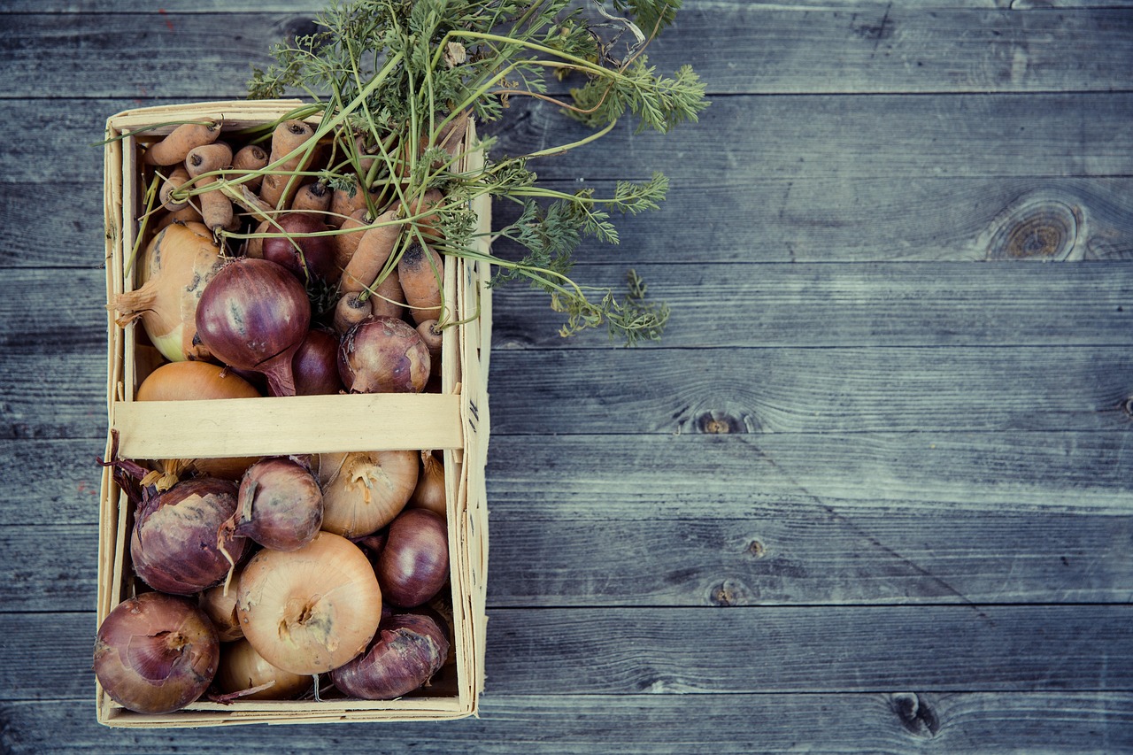 découvrez l'art du jardinage urbain : conseils, astuces et idées pour cultiver vos plantes et légumes en ville, même avec peu d'espace.