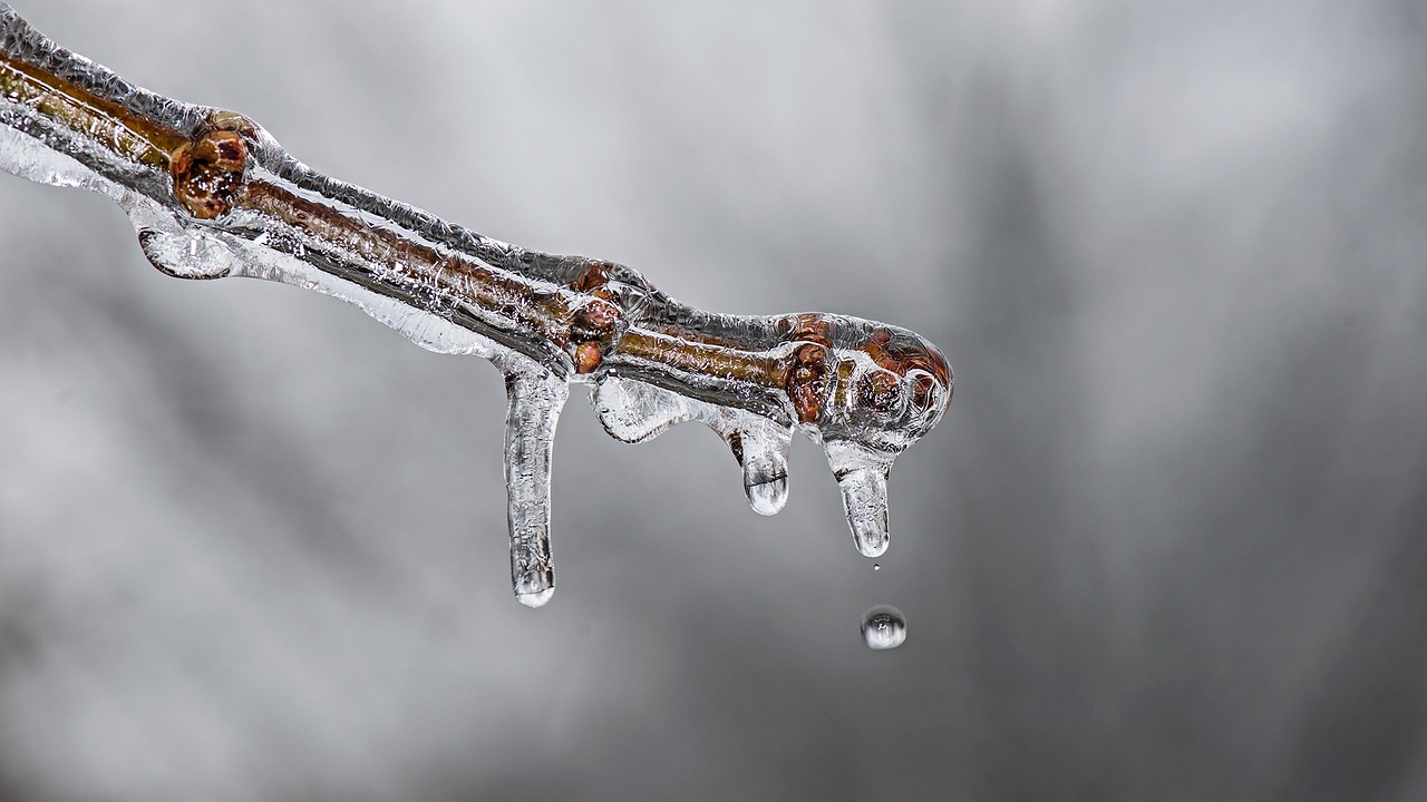 découvrez notre stratégie climatique innovante visant à réduire l'empreinte carbone, promouvoir les énergies renouvelables et garantir un avenir durable. rejoignez-nous dans la lutte contre le changement climatique et agissons ensemble pour préserver notre planète.