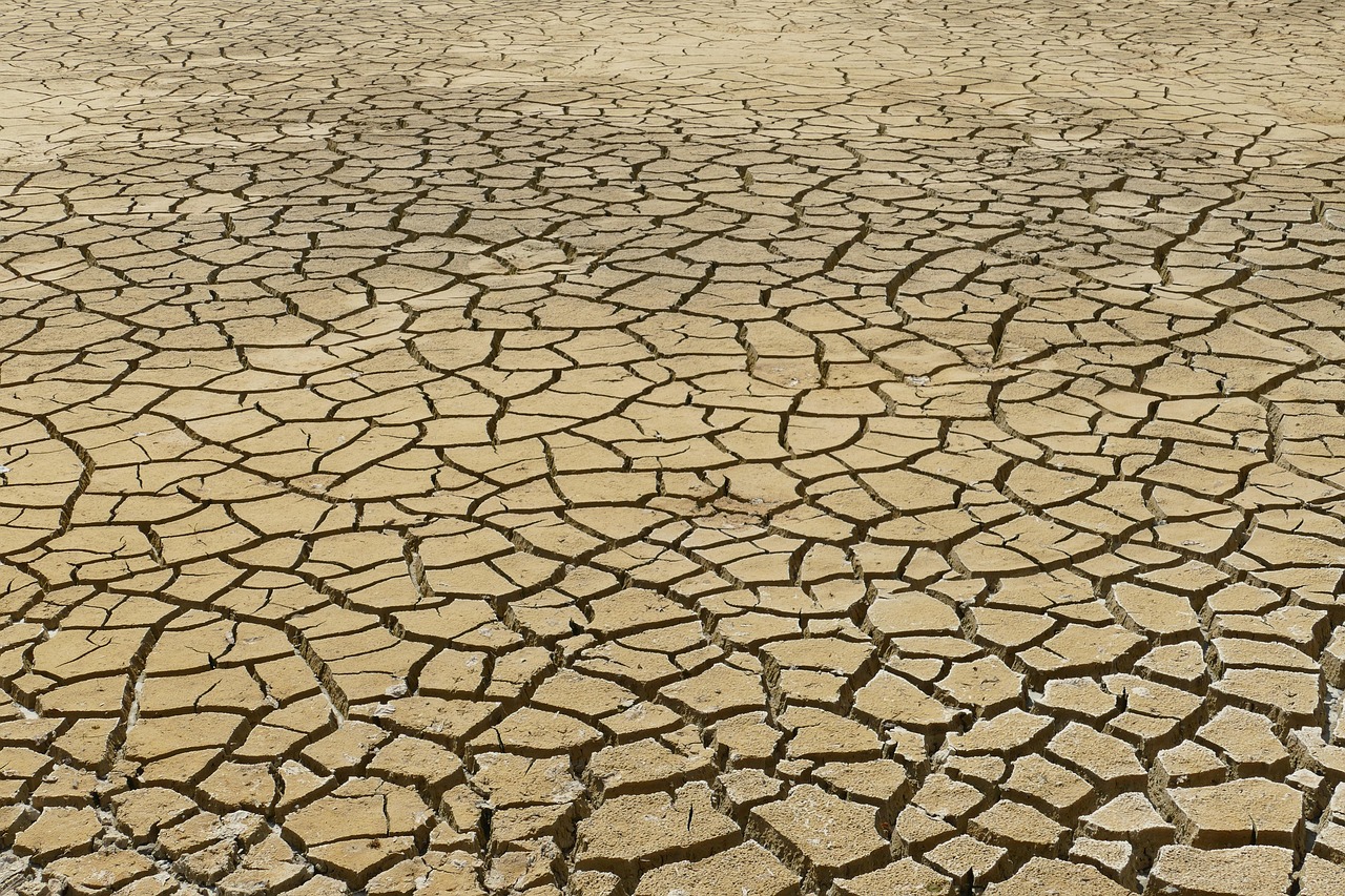 découvrez les enjeux du changement climatique, ses causes et ses impacts sur notre planète. apprenez comment agir pour un avenir durable et contribuer à la protection de l'environnement.
