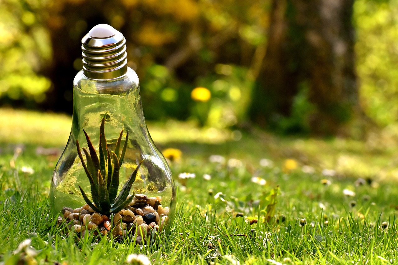 découvrez comment la responsabilité environnementale joue un rôle crucial dans la préservation de notre planète. apprenez des pratiques durables, des initiatives écologiques et des engagements d'entreprises qui contribuent à un avenir plus vert.
