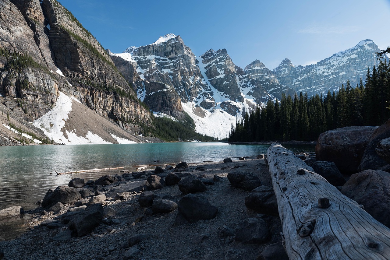 découvrez la stratégie climatique du canada présentée à la cop30, axée sur la réduction des émissions de gaz à effet de serre et la promotion d'actions durables pour lutter contre le changement climatique.