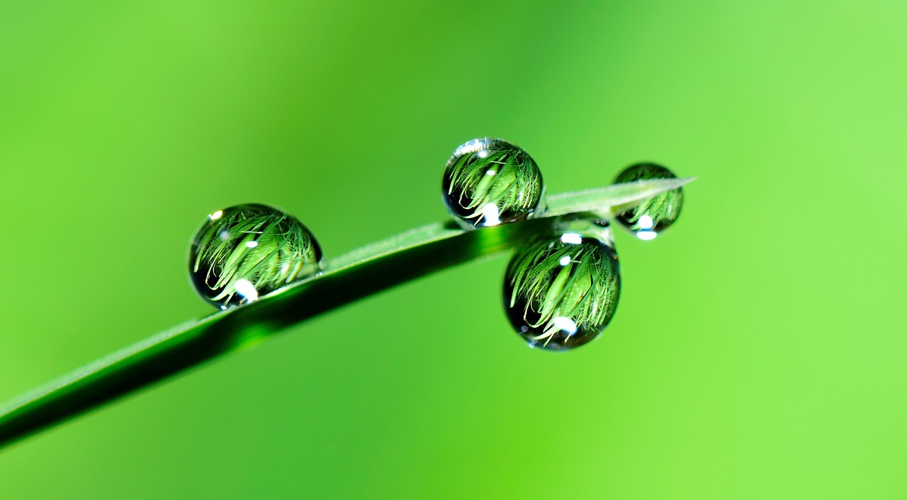 découvrez le financement vert, une solution innovante et durable pour soutenir des projets respectueux de l'environnement. explorez comment les investissements écologiques dynamisent la transition énergétique et encouragent le développement durable.