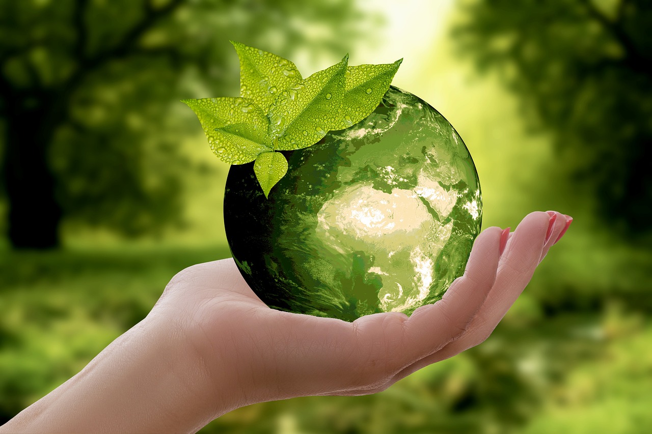 découvrez le concept de durabilité et son impact sur notre environnement. explorez des pratiques, des idées et des solutions pour un avenir plus respectueux de la planète. engagez-vous pour un mode de vie durable et apprenez comment chaque geste compte.