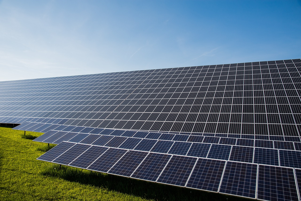 découvrez comment s'engager dans la transition écologique : stratégies, solutions durables et actions concrètes pour un avenir respectueux de l'environnement et des générations futures.
