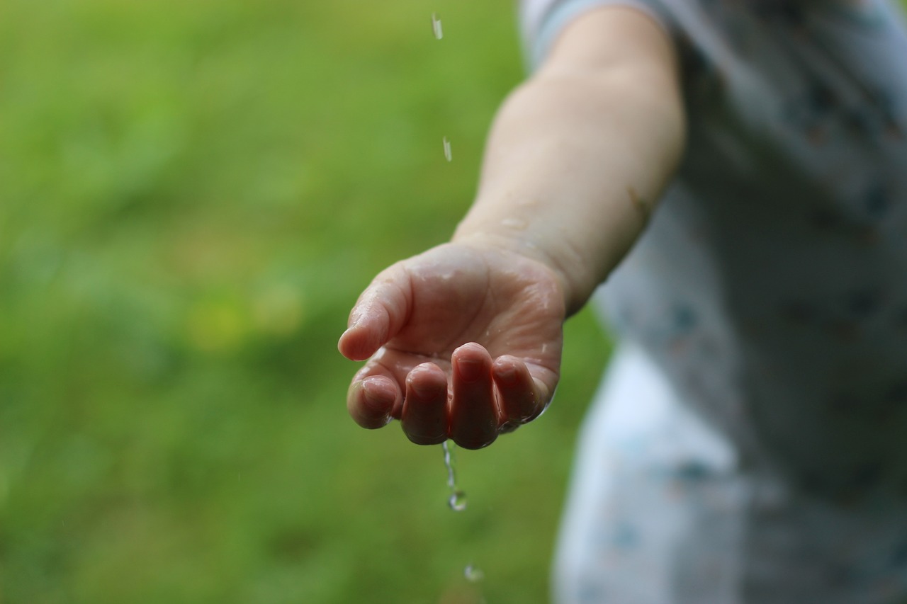 découvrez des solutions d'investissement durables qui allient rentabilité et responsabilité environnementale. engagez-vous pour un avenir meilleur tout en diversifiant votre portefeuille.