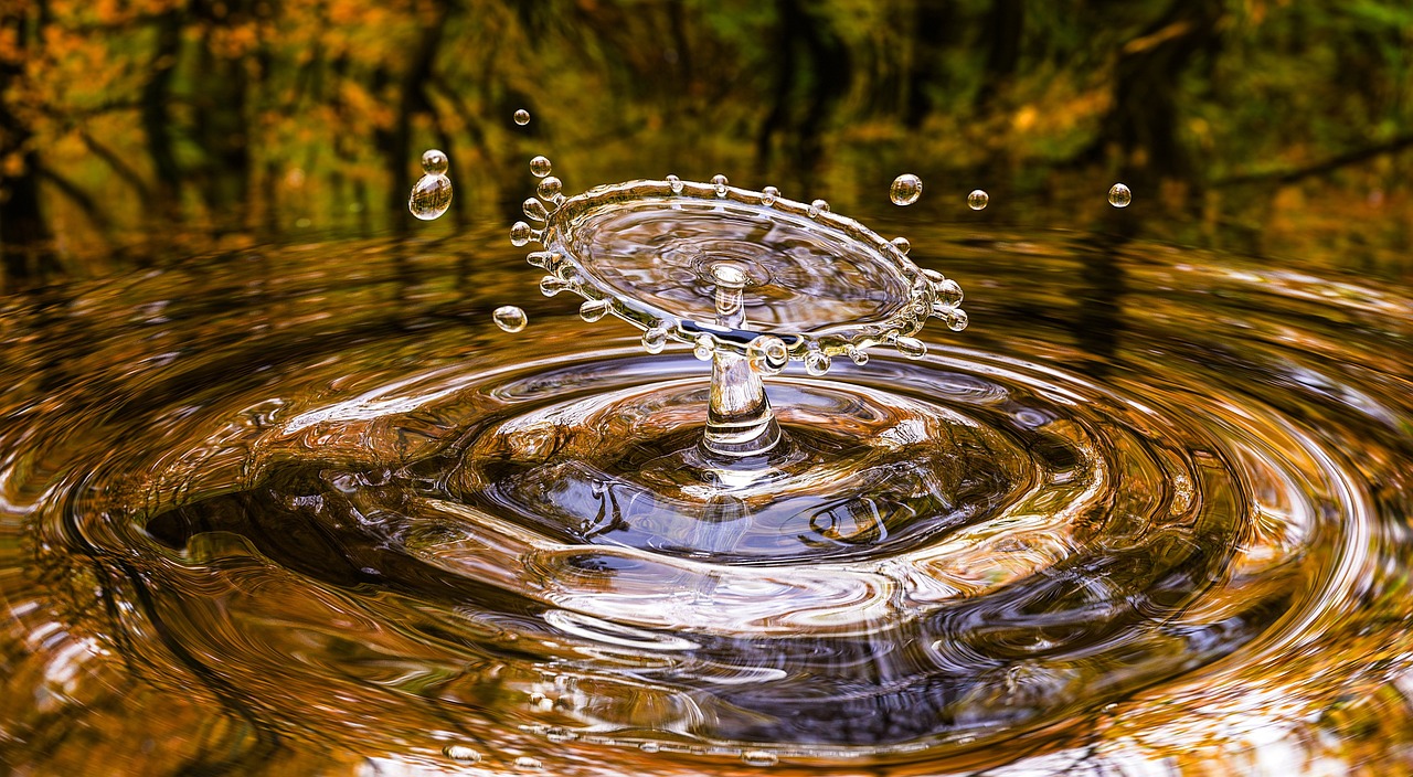 découvrez les principes de l'économie circulaire, un modèle économique innovant qui favorise la réutilisation, le recyclage et la réduction des déchets pour un développement durable.