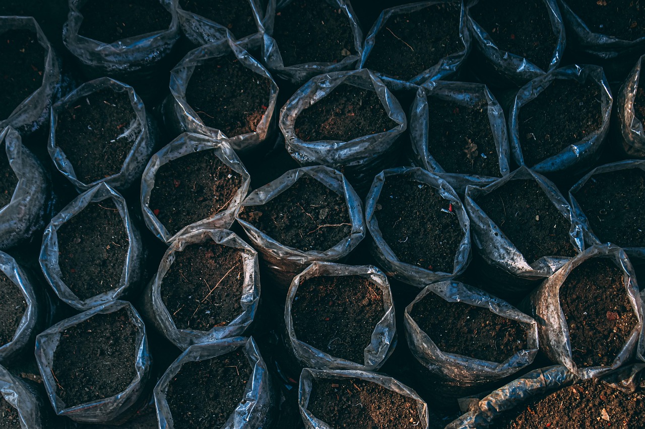 découvrez nos conseils pour un jardinage bio sur balcon : cultivez vos propres légumes et herbes aromatiques de manière naturelle et écologique.