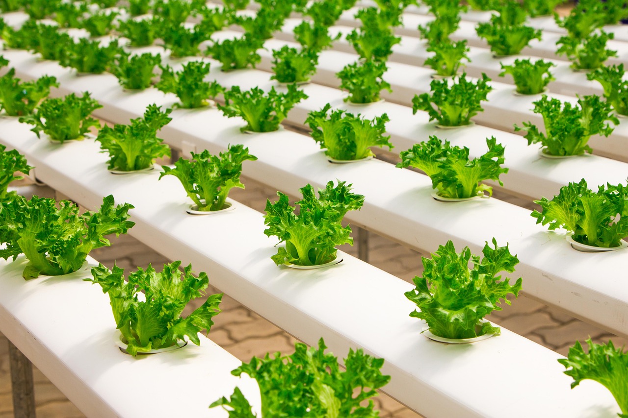 découvrez les pratiques d'agriculture durable pour préserver l'environnement, favoriser la biodiversité et assurer une production alimentaire responsable et durable.