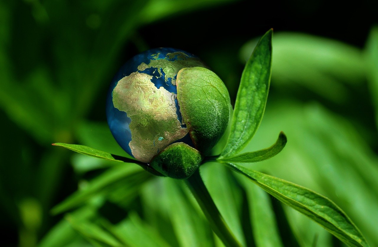 découvrez l'importance de la durabilité dans notre monde moderne. apprenez comment adopter des pratiques écoresponsables pour protéger notre planète tout en soutenant une croissance économique viable. explorez des conseils, des stratégies et des innovations pour un avenir durable.