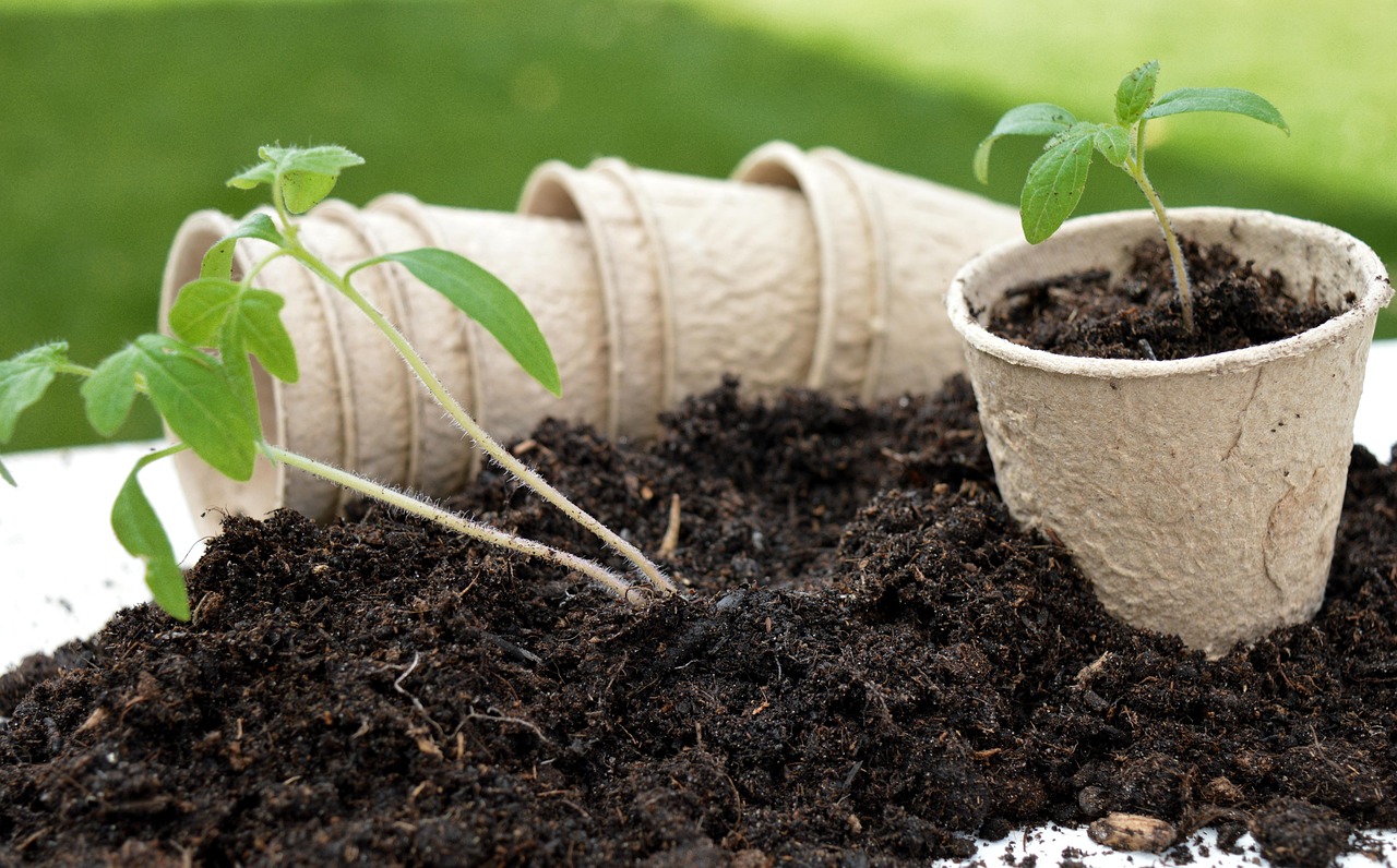 découvrez des stratégies innovantes pour une croissance durable alliant performance économique, respect de l'environnement et responsabilité sociale.