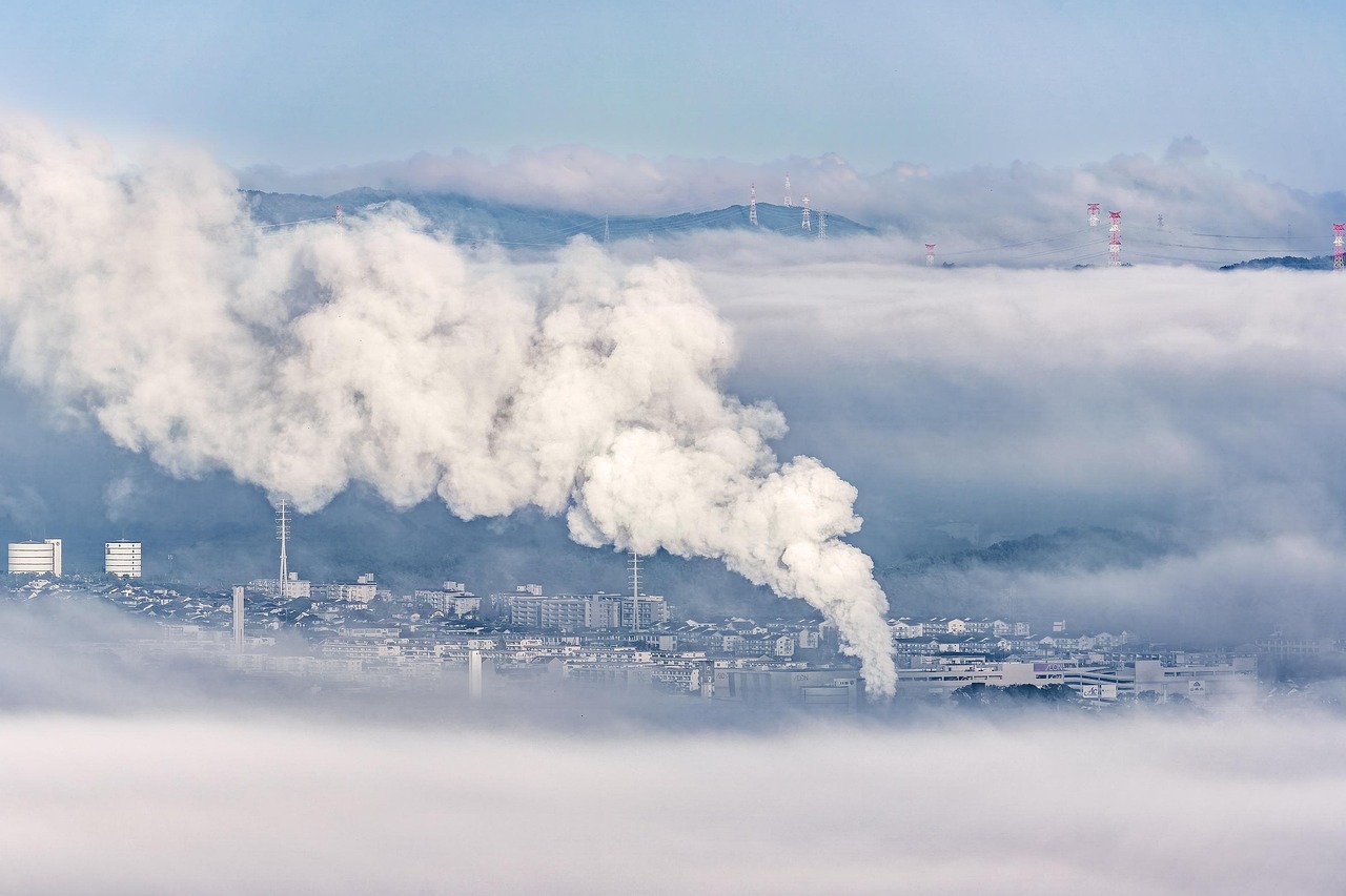 découvrez tout ce qu'il faut savoir sur l'empreinte carbone : définition, méthodes de calcul, importance pour l'environnement et conseils pour la réduire efficacement au quotidien.