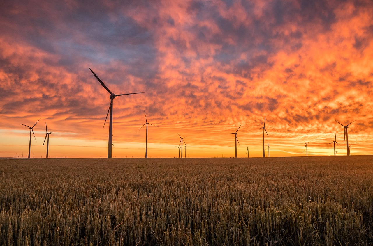 découvrez les ressources renouvelables, essentielles pour un avenir durable. apprenez comment l'énergie solaire, éolienne et hydraulique transforme notre société tout en protégeant notre planète.
