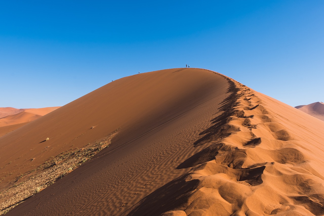découvrez des solutions innovantes pour lutter contre le changement climatique et promouvoir un avenir durable. explorez des stratégies efficaces et des initiatives inspirantes qui contribuent à la préservation de notre planète.