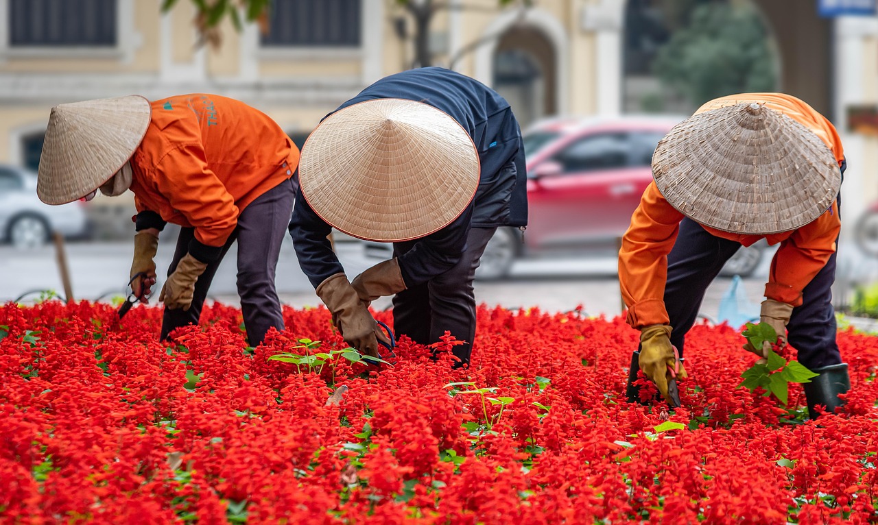 découvrez l'art du jardinage urbain : astuces, conseils et techniques pour cultiver plantes et légumes en milieu citadin, même avec peu d'espace.