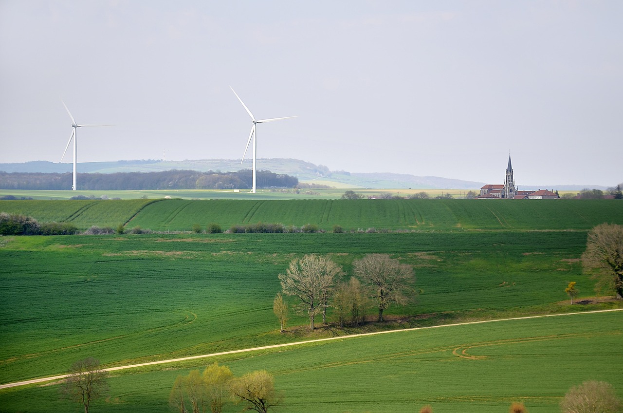 découvrez comment le développement durable favorise un équilibre entre croissance économique, protection de l'environnement et bien-être social pour construire un avenir responsable.
