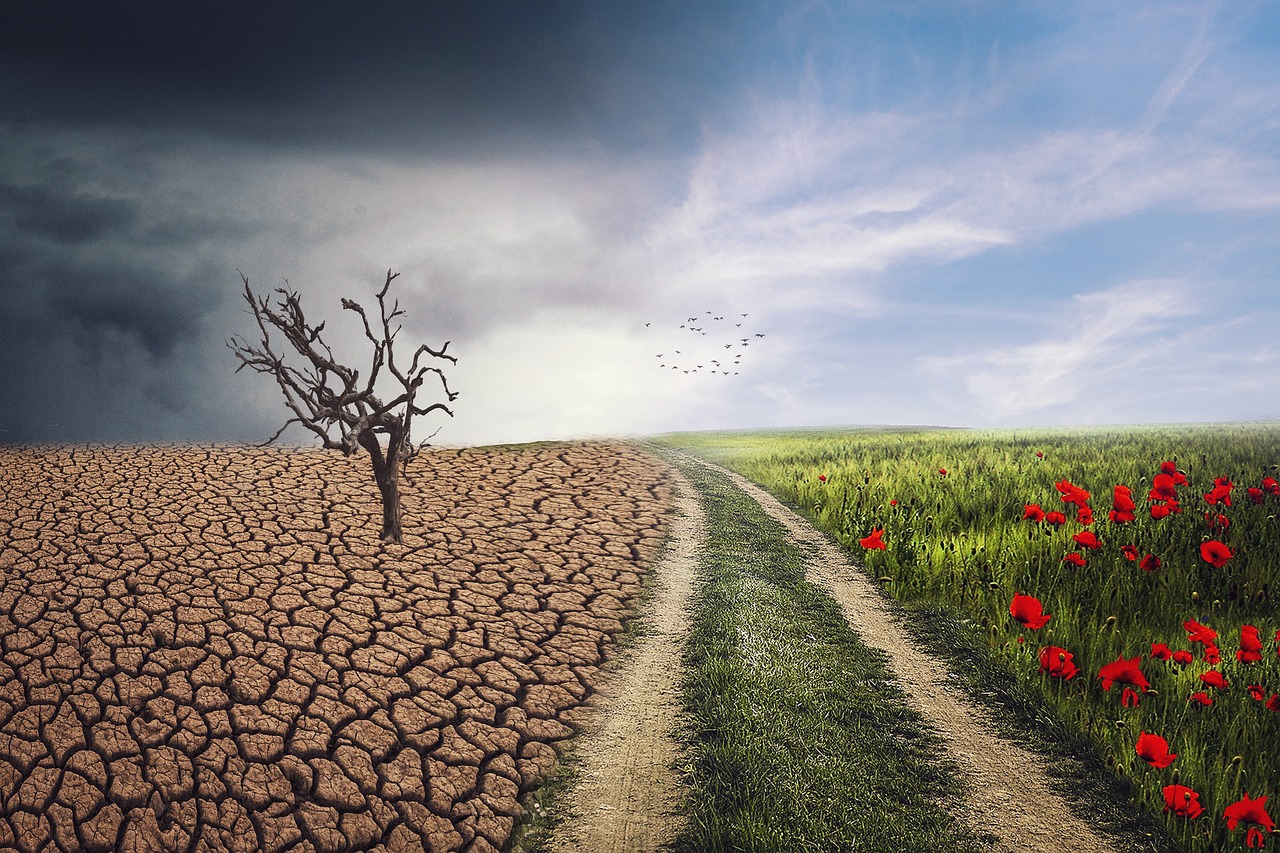 découvrez comment les investissements climatiques peuvent transformer notre avenir en soutenant des projets durables, innovants et respectueux de l'environnement. rejoignez-nous pour explorer les stratégies d'investissement qui favorisent un développement durable et contribuent à la lutte contre le changement climatique.