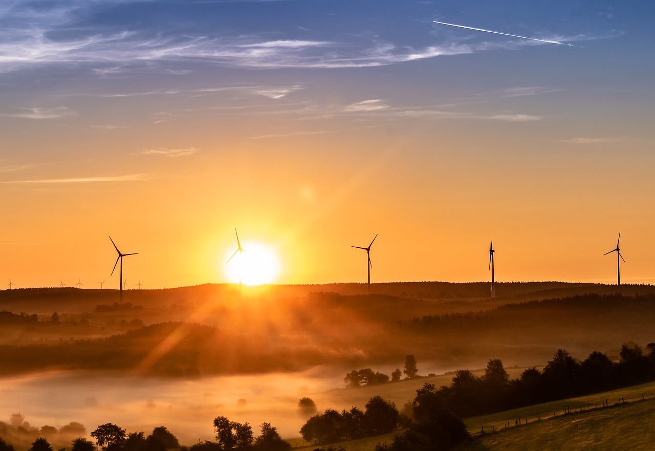 découvrez les ressources renouvelables : une approche durable pour l'avenir. apprenez comment l'énergie solaire, éolienne et hydraulique peuvent transformer notre façon de consommer et protéger notre planète.