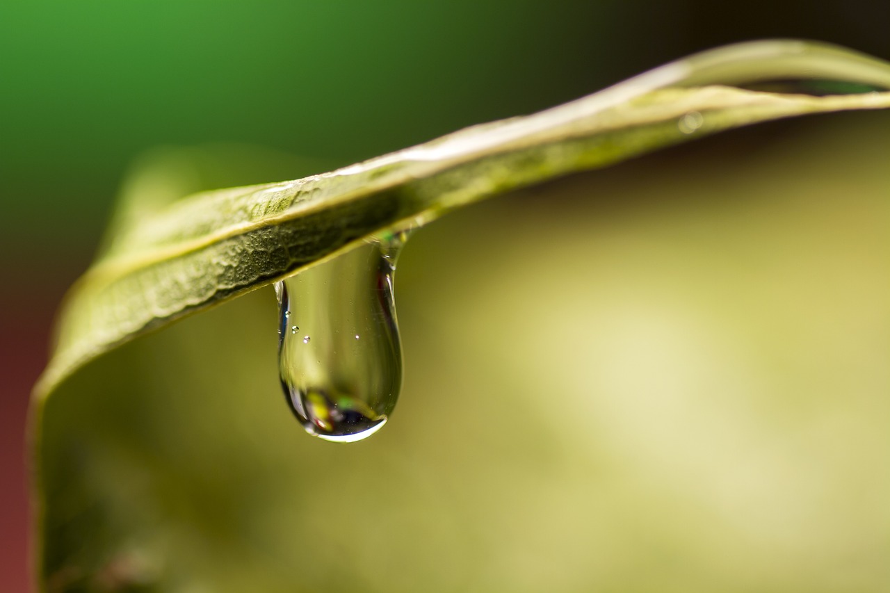 découvrez notre formation dédiée à la transition écologique. explorez des pratiques durables, apprenez à intégrer des solutions respectueuses de l'environnement dans votre quotidien et découvrez comment contribuer à un avenir plus vert. rejoignez-nous pour devenir un acteur clé du changement écologique.