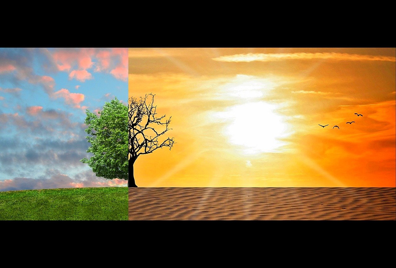 Changement climatique : Comprendre ses impacts sur notre avenir