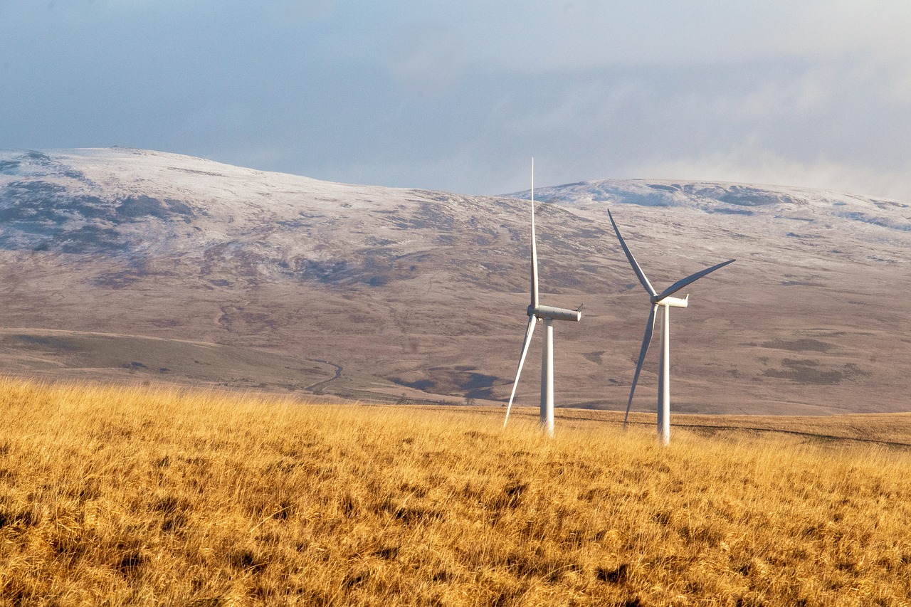 L’énergie : essor et enjeux dans la bataille contre le changement climatique