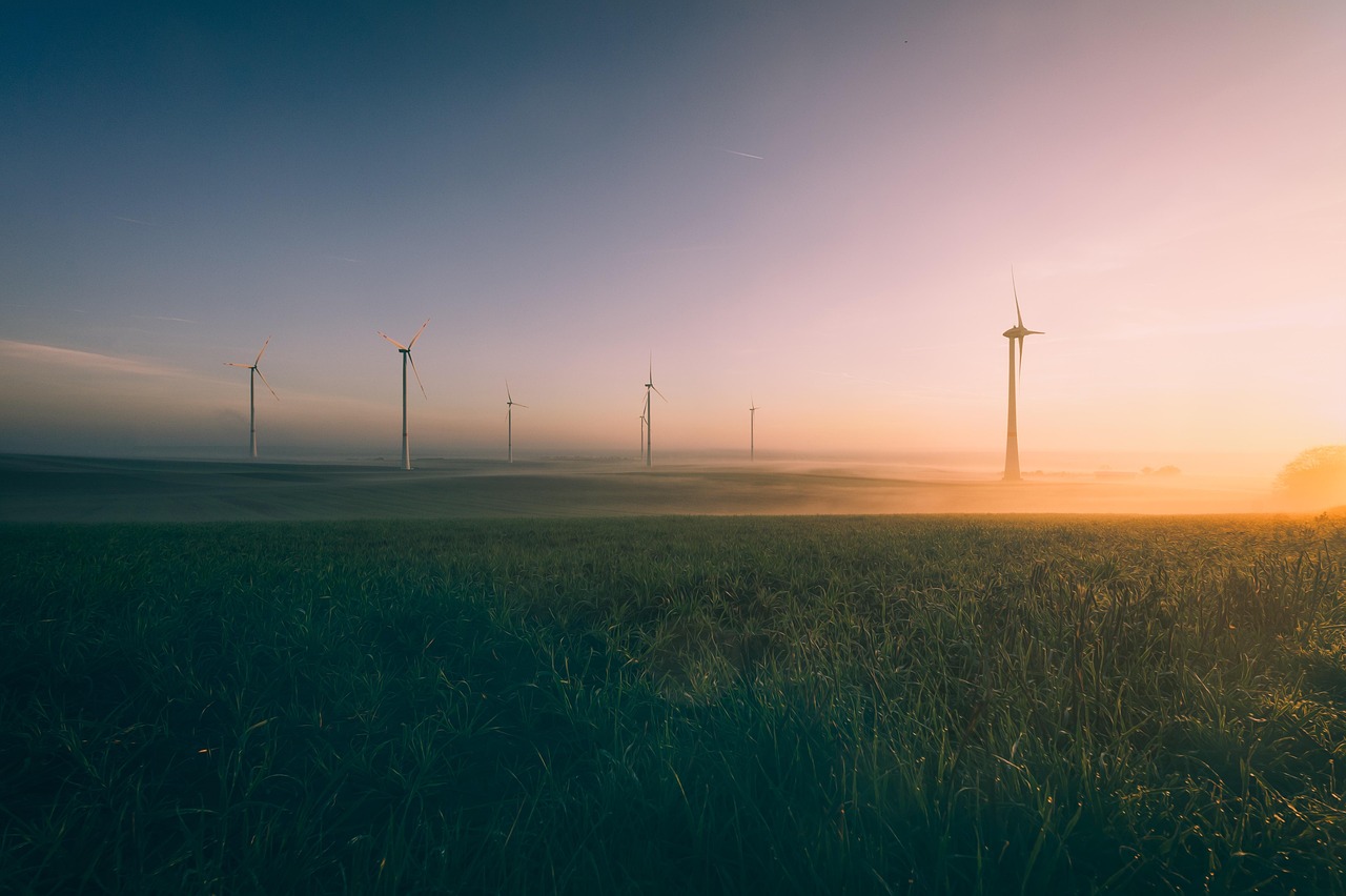 Mouvement vert : comprendre les enjeux de la transition écologique