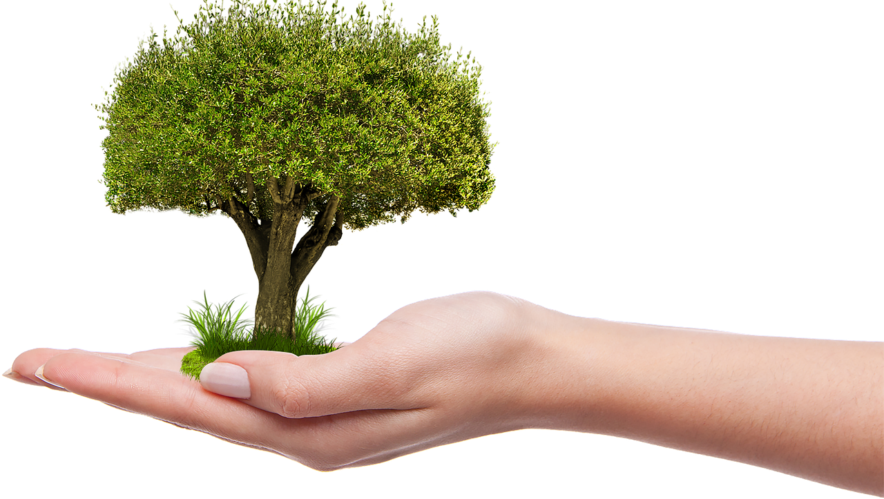 Écologie urbaine : Vers des villes plus durables et respectueuses de l’environnement