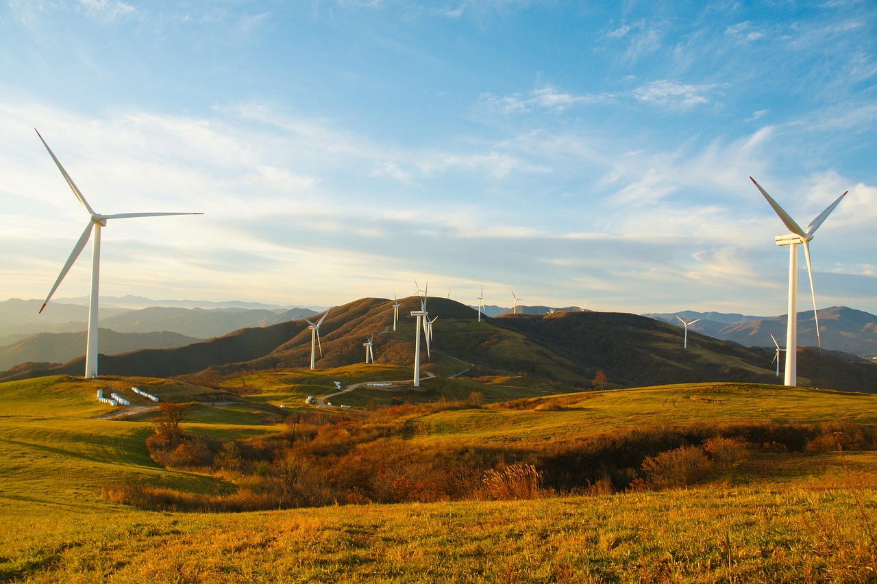 Vers une Futur Écologique : Notre Approche Durable pour Réduire les Émissions de Carbone