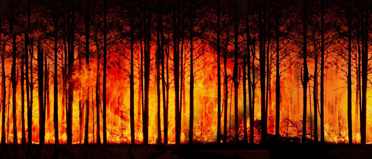 Mythes sur le changement climatique : démystification des idées reçues