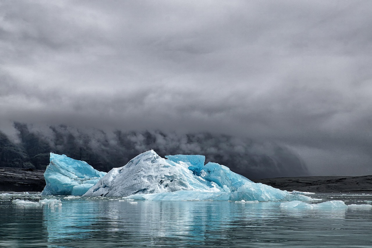 Initiatives du MMF pour Lutter Contre le Changement Climatique