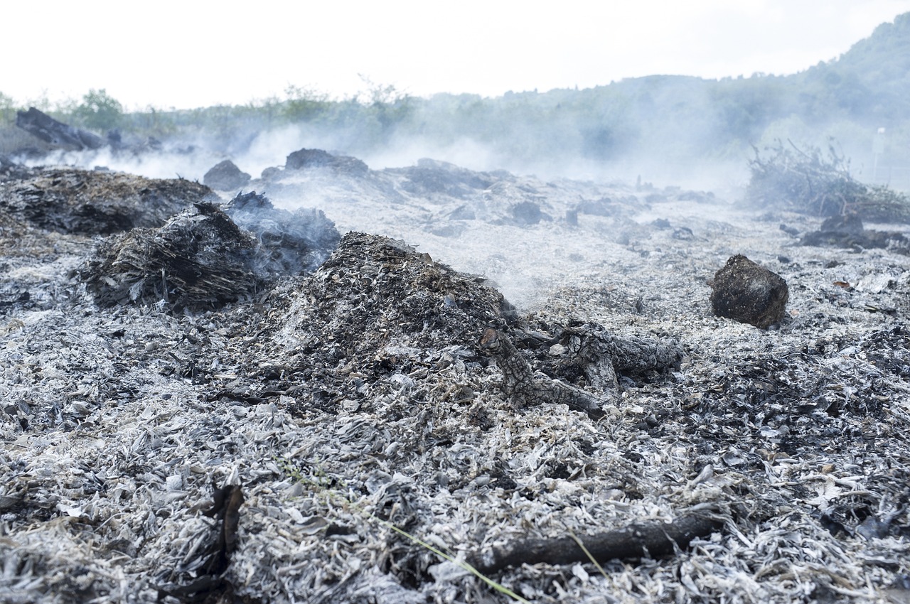 Énergies fossiles : impacts environnementaux et économiques à considérer