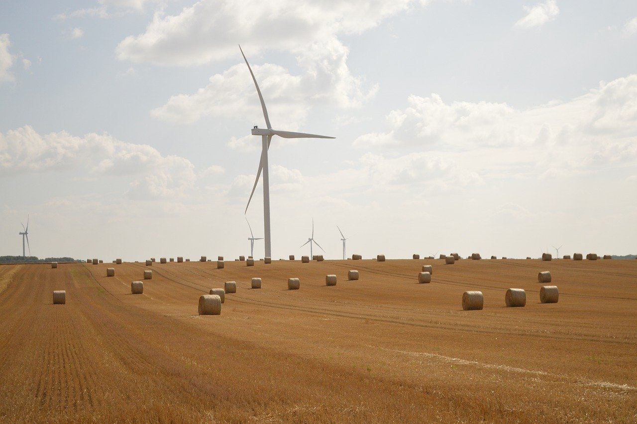 Les obligations écologiques : Investir pour un avenir durable