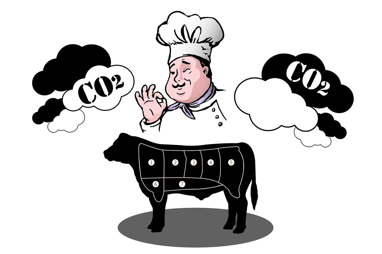 découvrez ce qu'est l'empreinte carbone, son impact environnemental et comment la réduire pour un avenir plus durable.