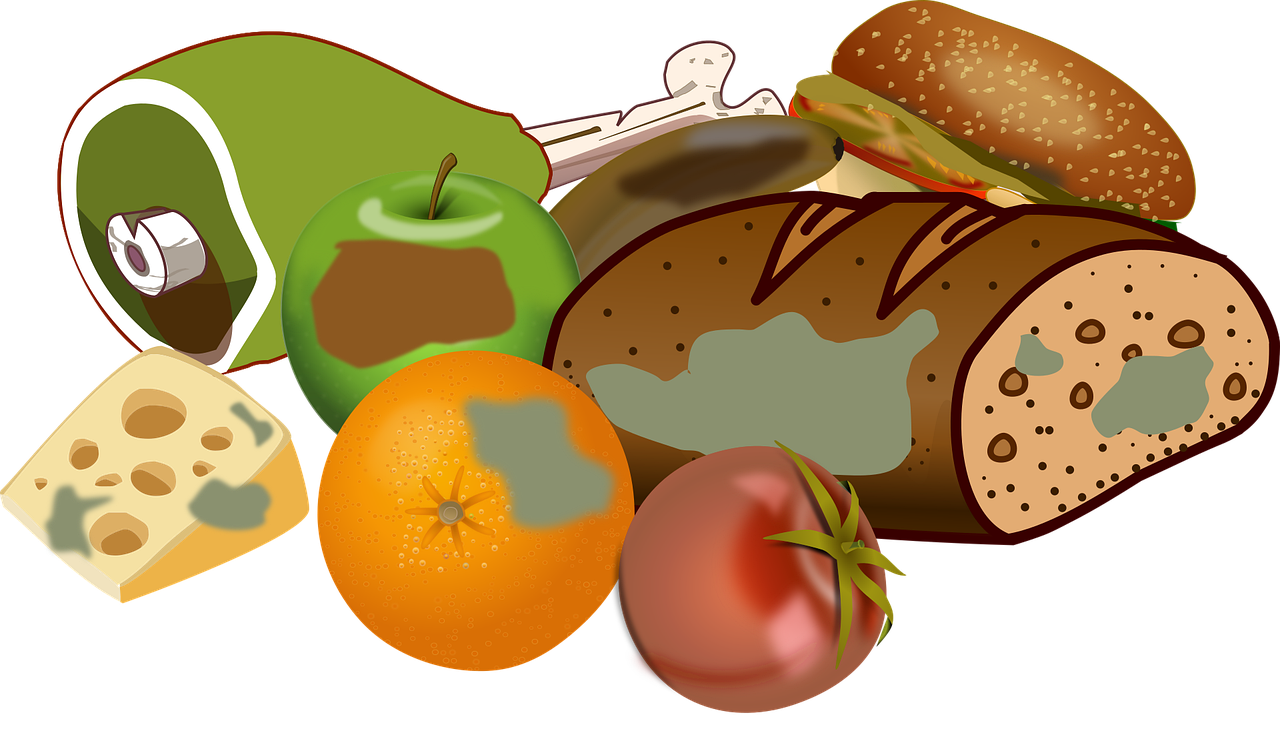 découvrez des conseils et solutions pour réduire le gaspillage alimentaire et adopter une consommation responsable.