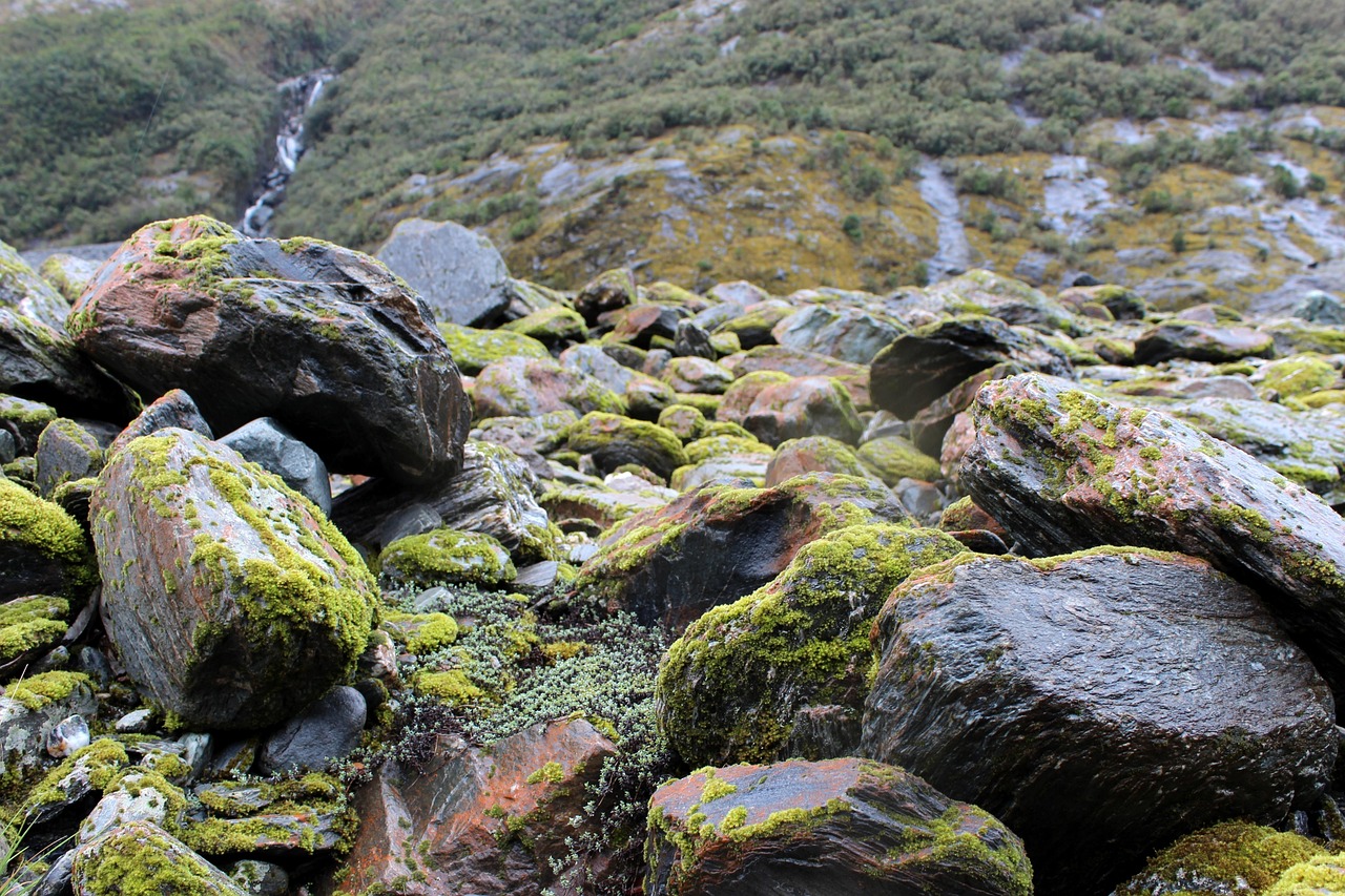 découvrez nos solutions efficaces pour l'élimination de la mousse sur vos surfaces extérieures afin de préserver leur beauté et leur durabilité.