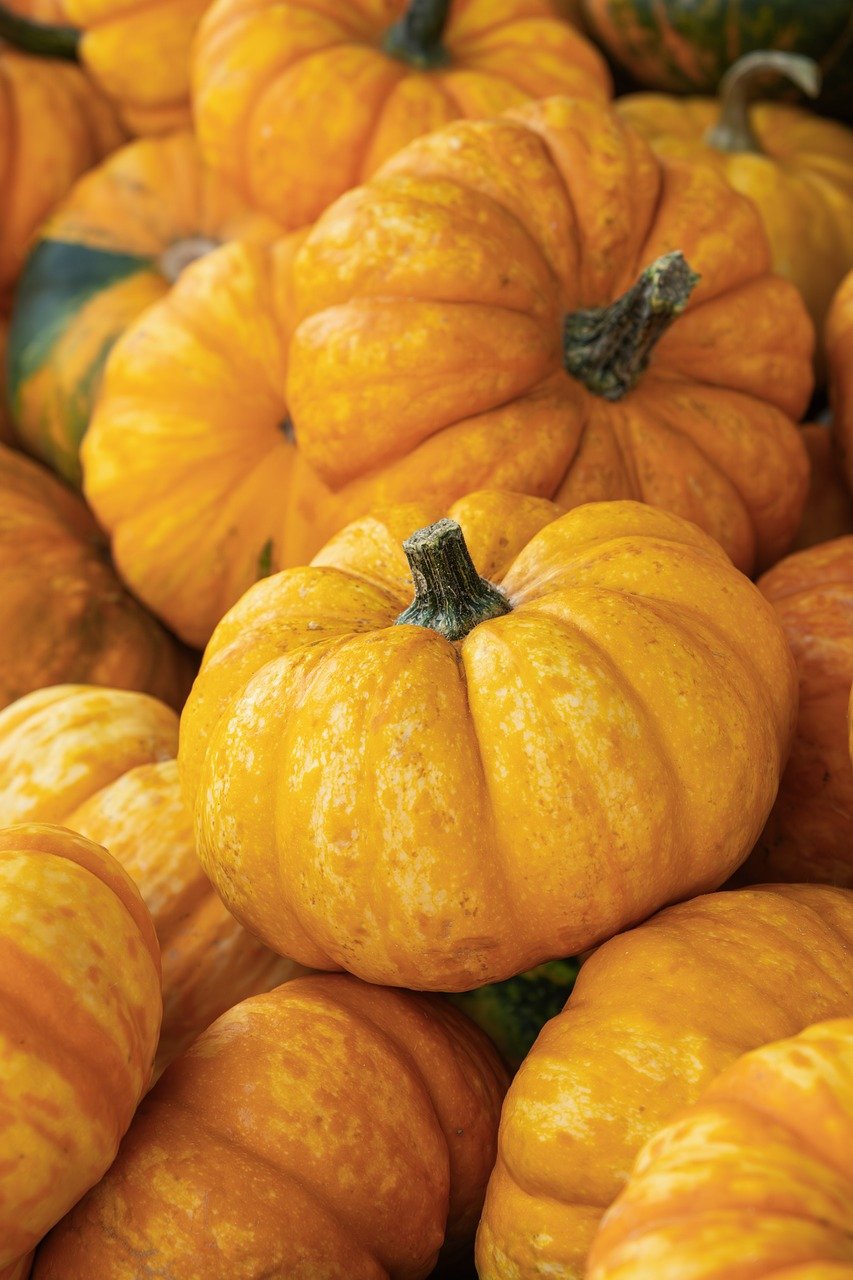 découvrez l'impact des fruits et légumes biologiques sur la santé, l'environnement et le bien-être global.