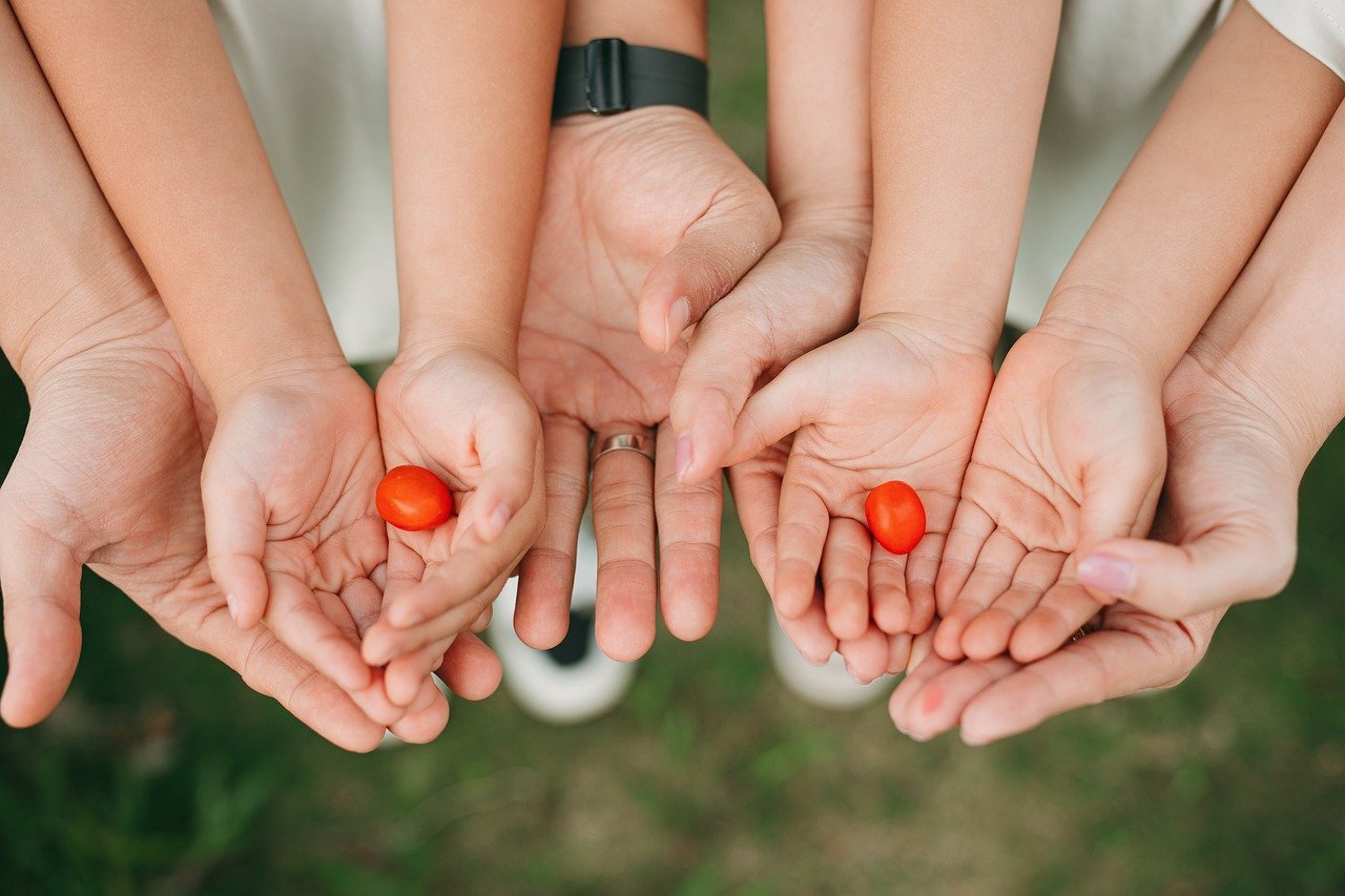 support pour tomates robuste et pratique, idéal pour maintenir vos plants de tomates bien droits et favoriser une croissance optimale dans votre jardin.